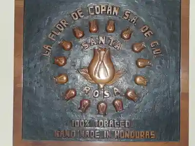 Cocotours le monde maya 5p