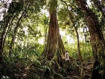 Cocotours le monde maya 5p