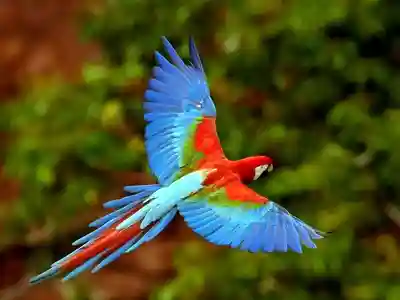 Cocotours le monde maya 5p