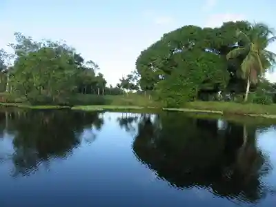 Cocotours le monde maya 5p