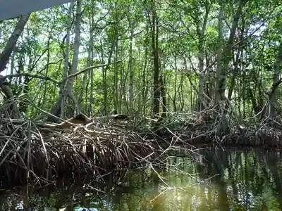 Punta izopo  honduras